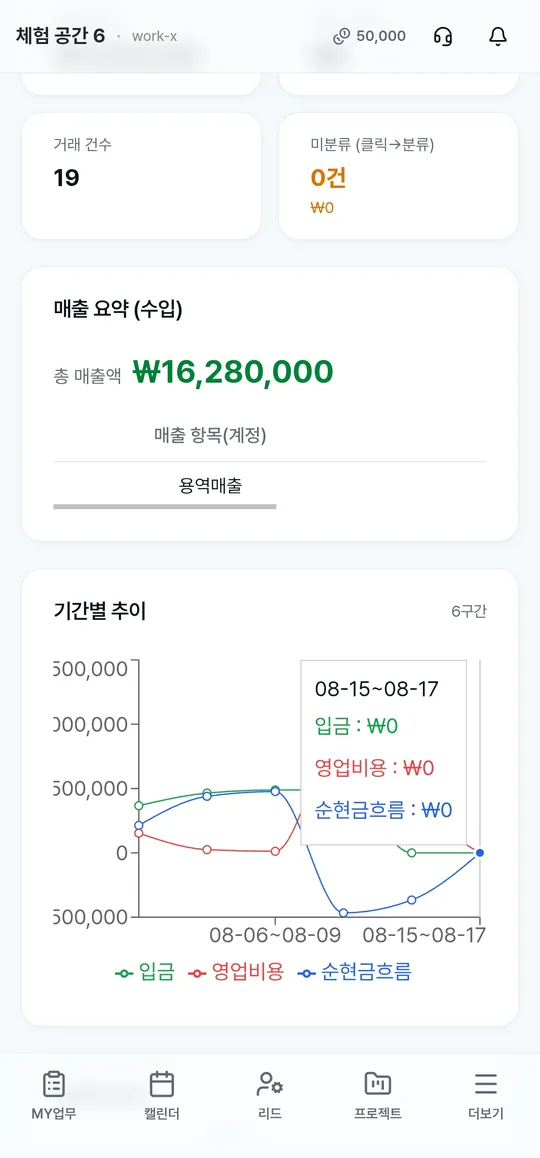 Work-X 매출 요약 — 기간별 입금·비용·순현금흐름